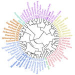 CircularDendrogram.png