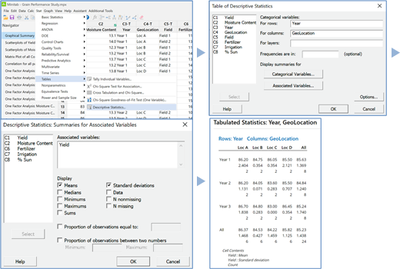 Figure 17 Minitab: Descriptive statistics via Table