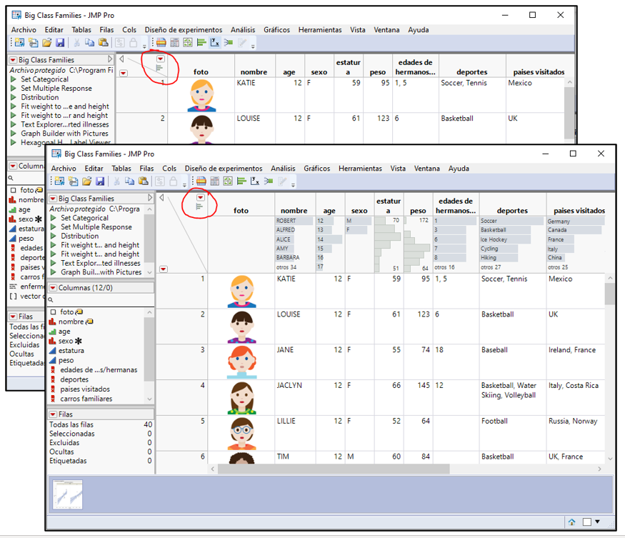 Tabla de datos de JMP con y sin mostrar gráficos de encabezados.