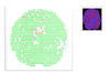 Capture.PNG