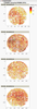 wafermaps1.PNG