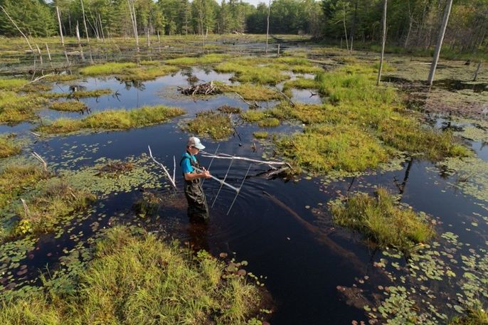 A student uses an antenna to track the location of turtles with transmitters.