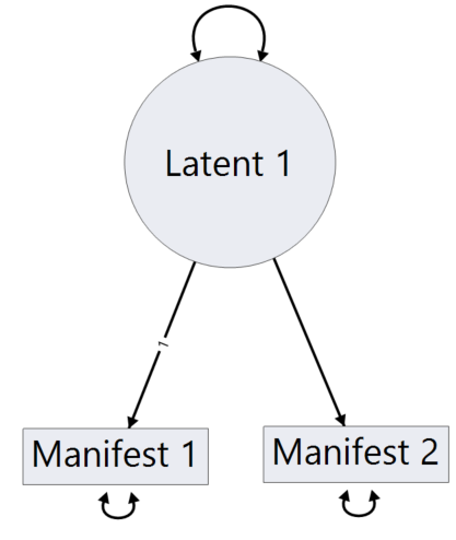 Basic Path Diagram.PNG