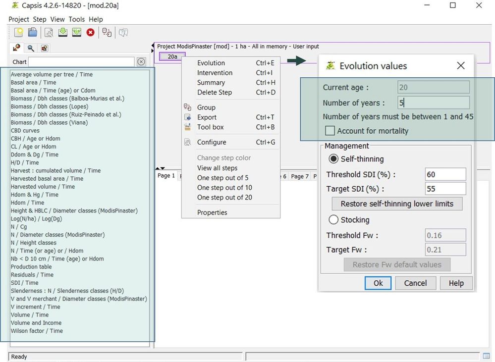 Example of ModisPinaster interface showing output options and simulation of growth