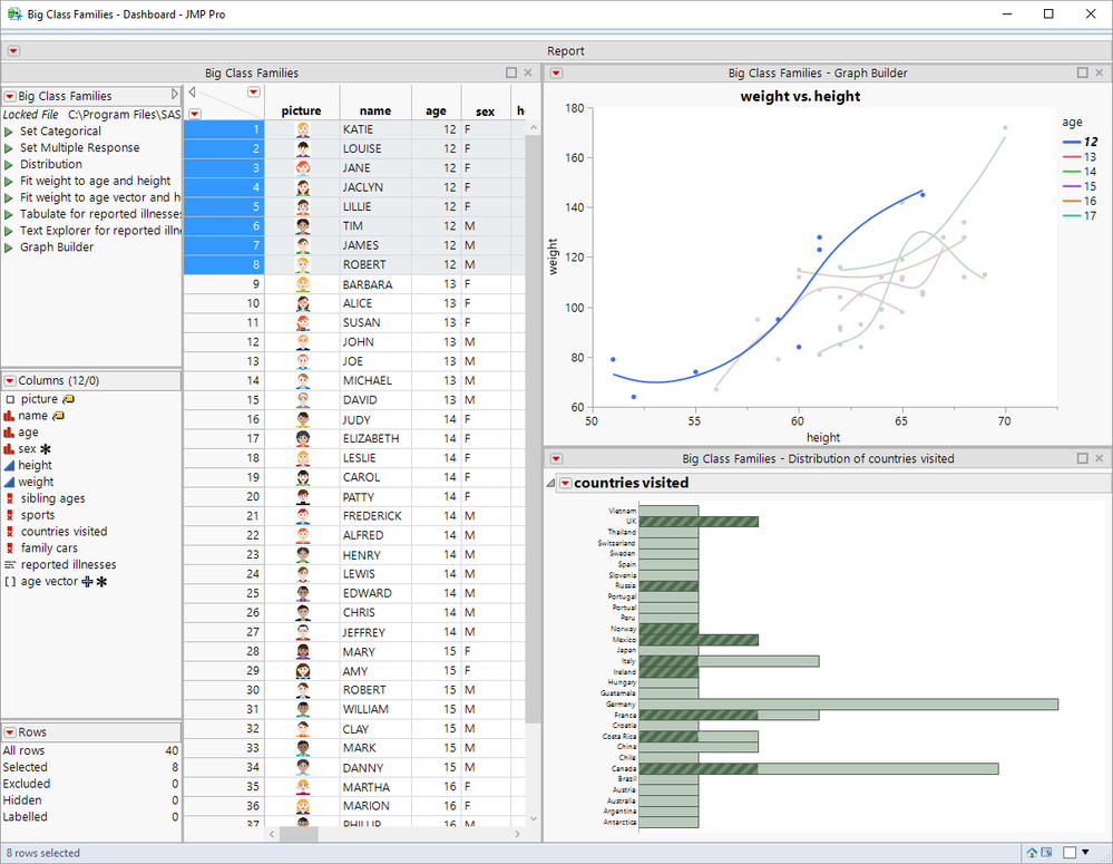 Dashboard_Builder_JMP_13.png