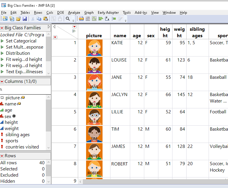 solved-how-do-add-text-to-a-cell-that-has-an-image-loaded-jmp-user