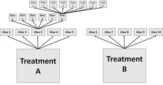 Experiment structure.jpg