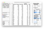 Filtered Data View Example.png