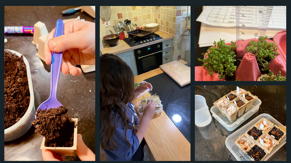 Some important work being done in the Kay family research kitchen