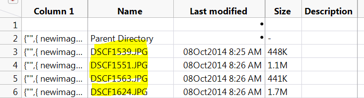 JMP data table opened with internet open on an Apache server directory, showing file names