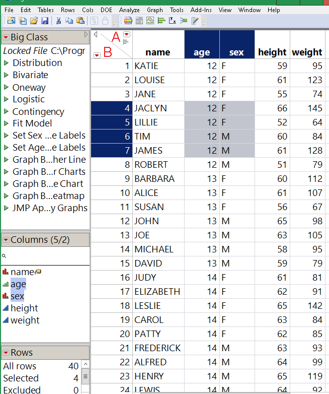 A region of cells with both columns and rows selected