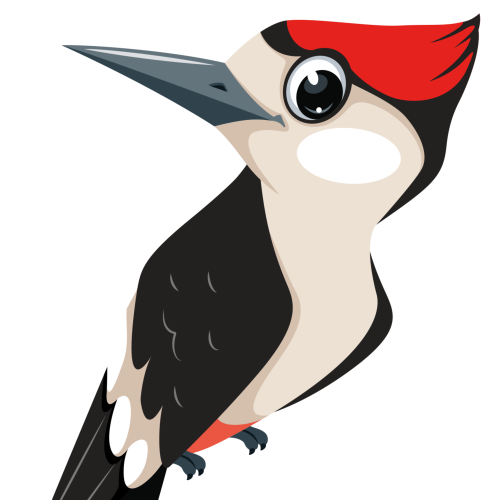 woodpecker.png
