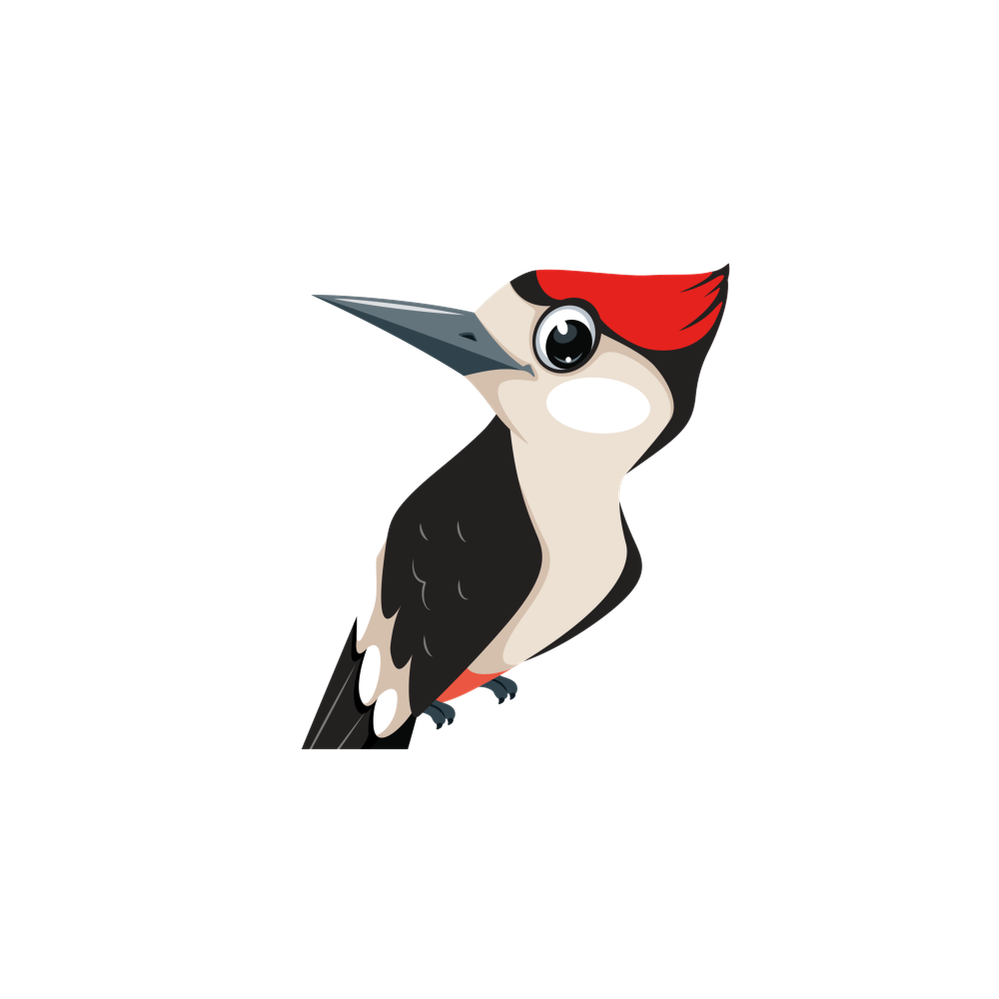 woodpecker.png