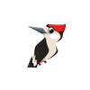 woodpecker.png