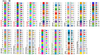 hogi_0-1682535627988.png