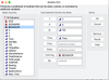 Bubble Plot launch dialogue settings