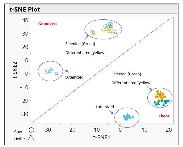 t-SNE Plot Post 2 .jpg