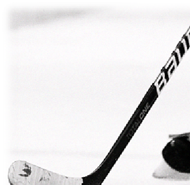 hockey1b.png