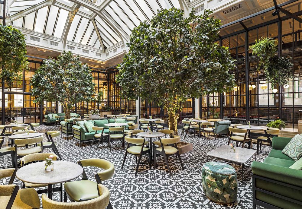 Kimpton Manchester_Winter Garden_shot 1_0237_F1.jpg