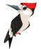 hogi_1-1702196361658.png