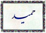 Profile (Salehi)