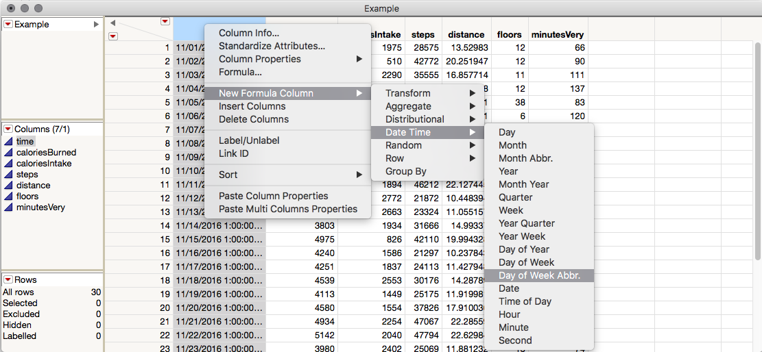 JMP Fitbit Data Downloader