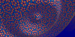 3D surface with Penrose tiles
