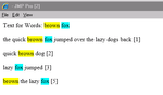 formatted HTML with high-lighted words