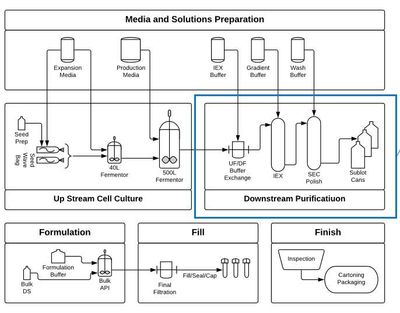 JMP Live Case Study Process