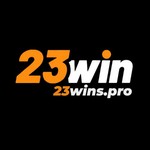 23winspro
