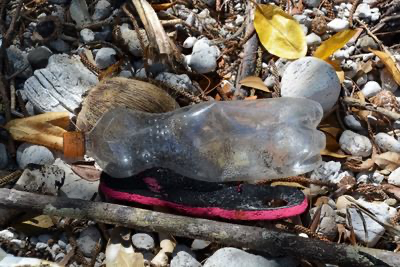 MaddiWalsleben_3-1730835618946.png MaddiWalsleben_3-1730835618946.png