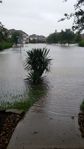 20170829 1015: view from my front door