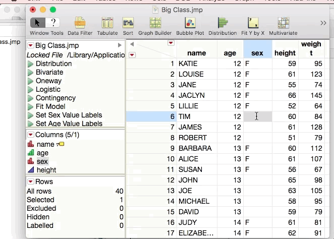 Solved: Filling empty cells in a specific “character” column - JMP User ...