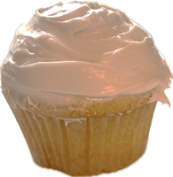 The winner (with icing)!