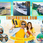 thesinhtour