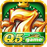 q5game