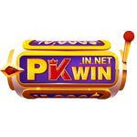 Profile (pkwininnet)