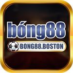 Profile (bong88boston)