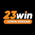 23winwebcam