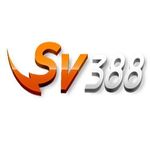 Profile (sv388vnxyz1)