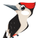 hogi_0-1756934113185.png