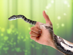 avatar0198fc77-5ad8-7e25-8fa2-b40c2409399f.png