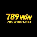 Profile (789wins1net)