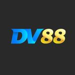 Profile (dv88avcom)