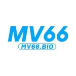 Profile (mv66bio)