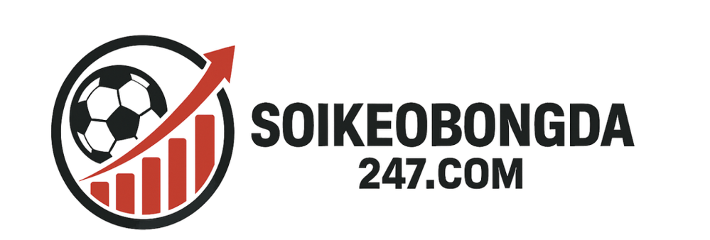 avatar01992d2b-2782-7478-b4d3-94936c60c86e.png