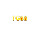 tg88design