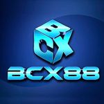 Profile (bcx88ituuscom)