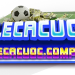 tylecacuoc