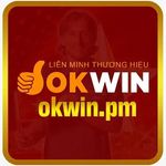 Profile (Okwinpm)